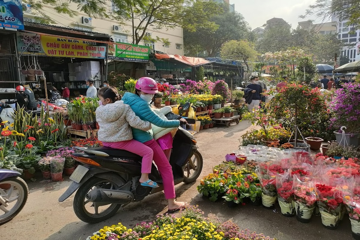 Được mệnh danh là chợ hoa lớn nhất Hà Nội, chợ hoa Tây Tựu không chỉ là nơi mua bán hoa mà còn là trung tâm phân phối hoa tươi lớn nhất khu vực miền Bắc