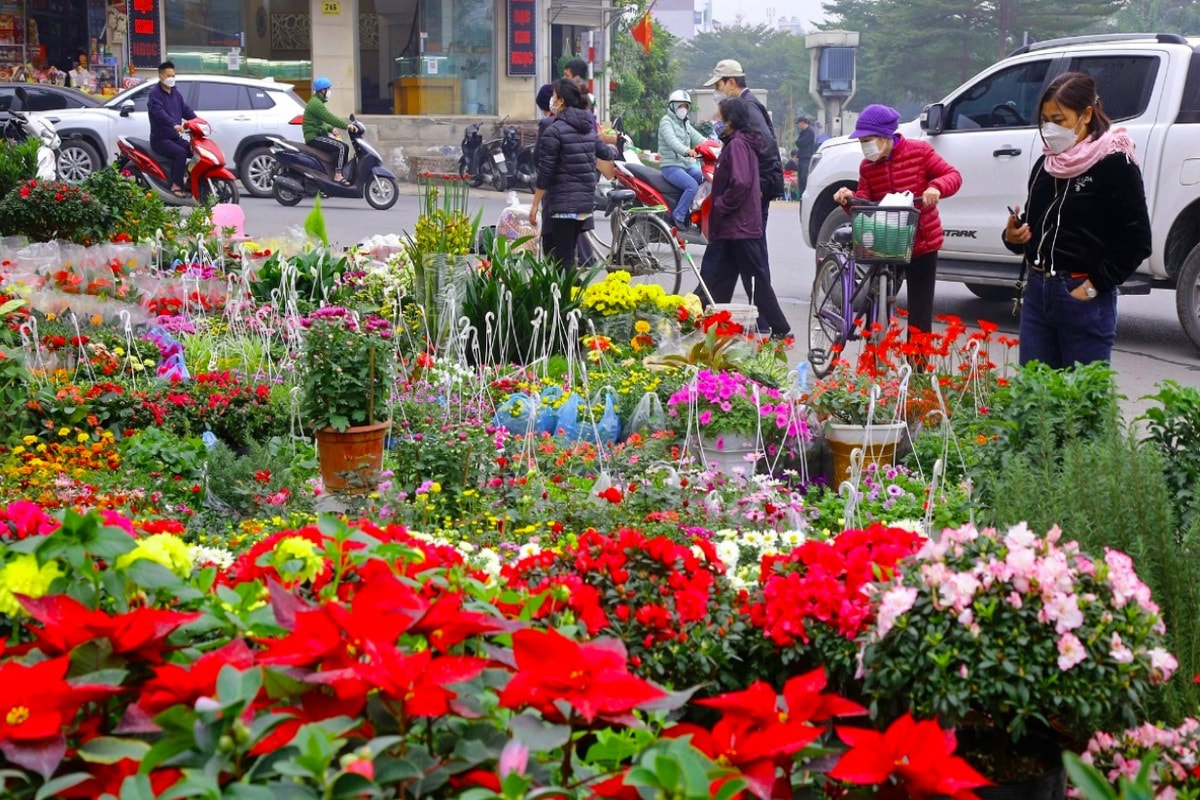 Chợ hoa Mai Dịch là một trong những chợ hoa Hà Nội nổi bật với phong cách hiện đại