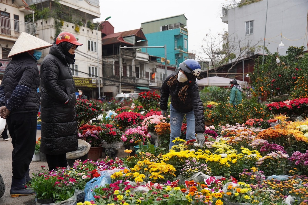 Chợ Bưởi mang đến một không gian đa dạng hơn với hoa tươi, cây cảnh, cá cảnh và cả thú cưng