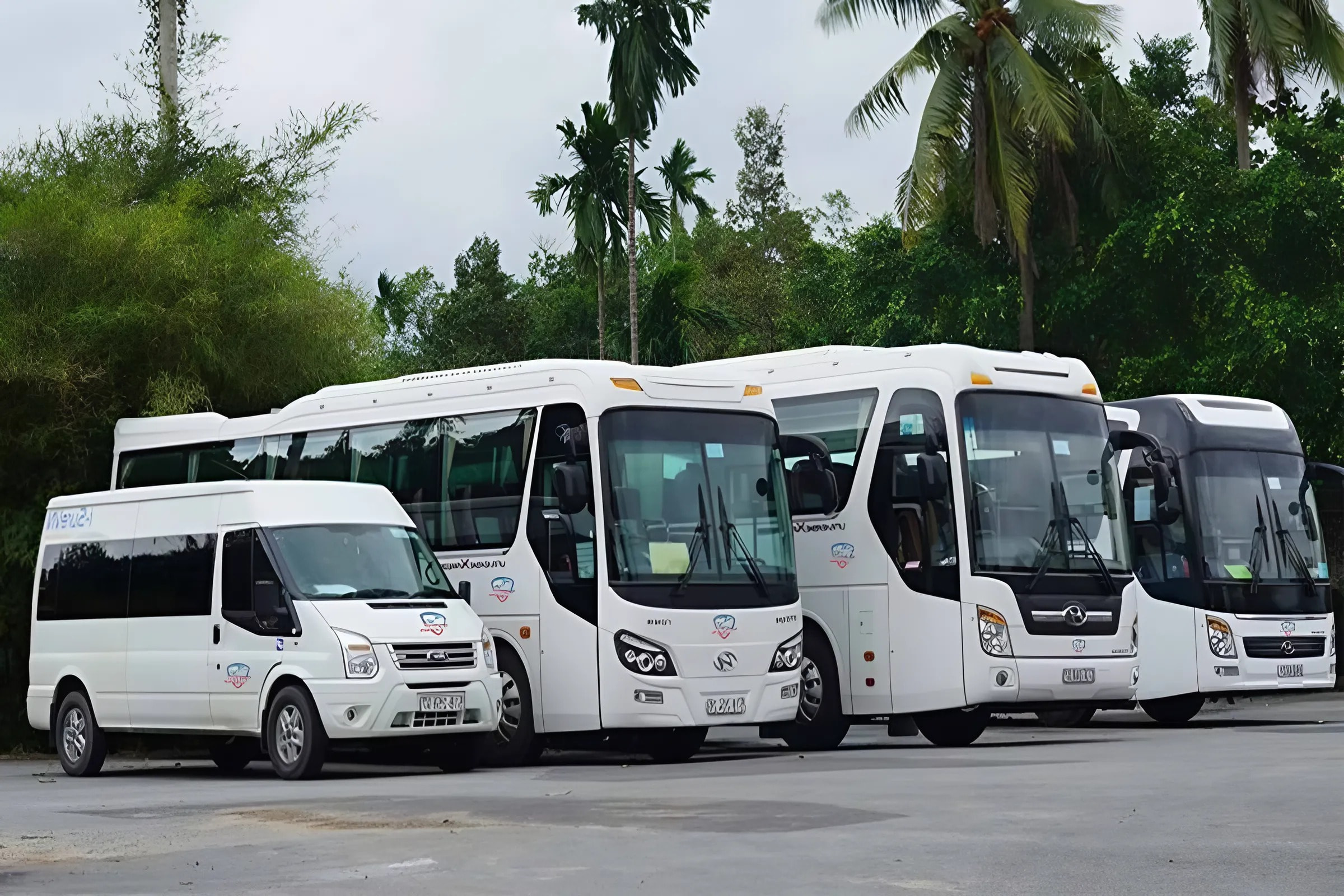 New Tour cung cấp linh hoạt các dòng xe phù hợp với những nhu cầu riêng của khách hàng