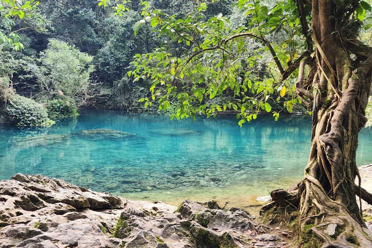 Bản Giuồng sở hữu không gian yên tĩnh, với những ngôi nhà sàn được xây dựng bằng gỗ, mái lợp lá, gần gũi với thiên nhiên