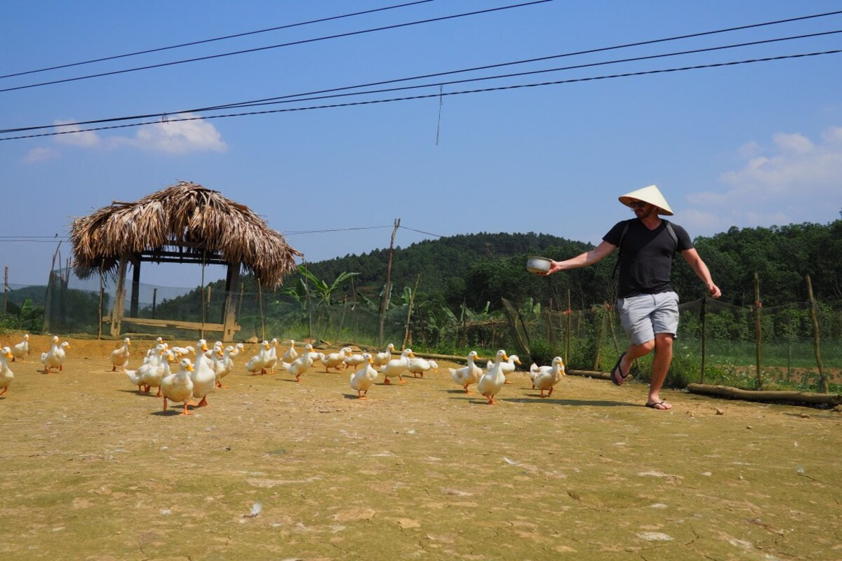 The Duck Stop nằm tại thôn Phong Nha, xã Sơn Trạch, huyện Bố Trạch, Quảng Bình