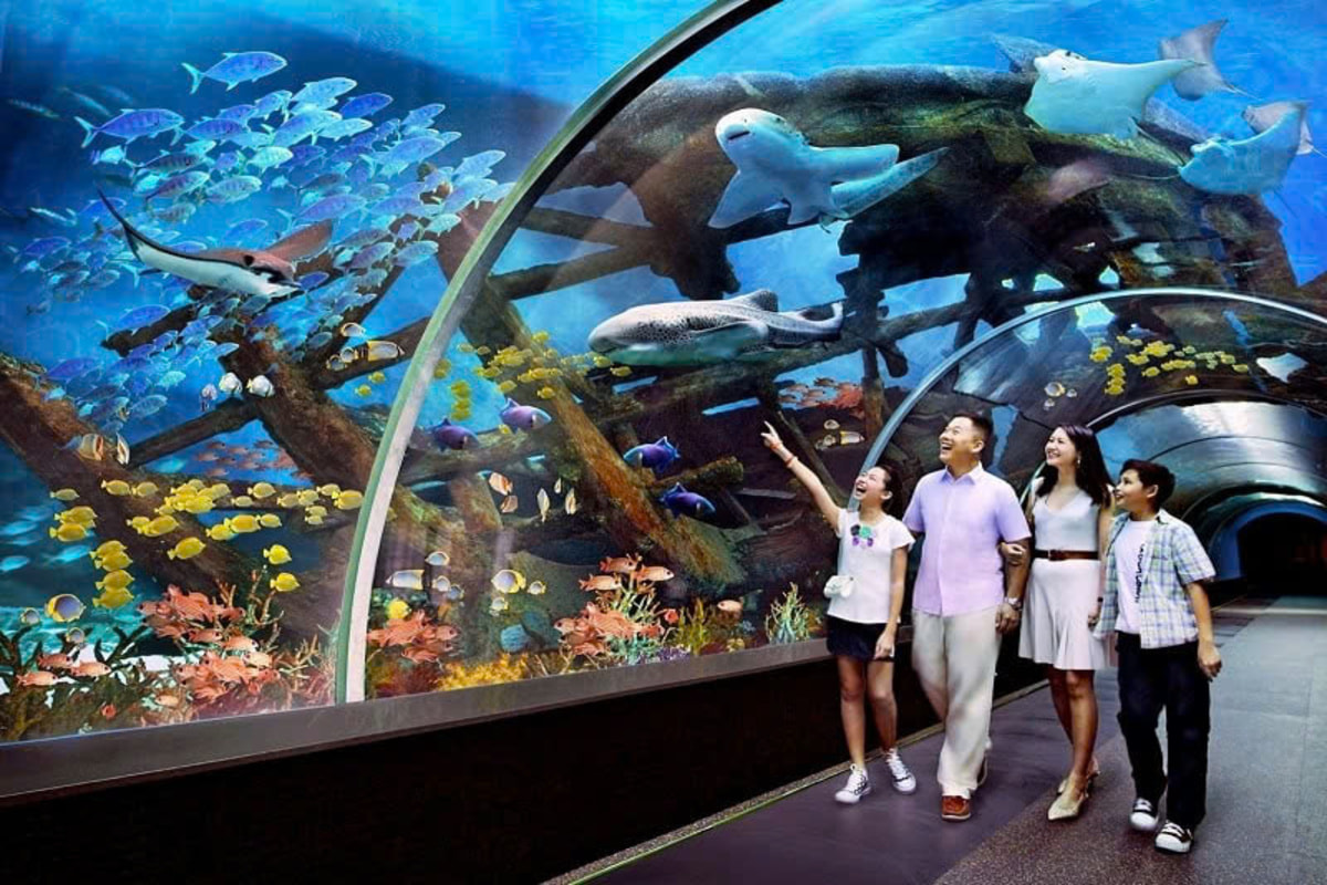 Thủy cung Sea World Nha Trang