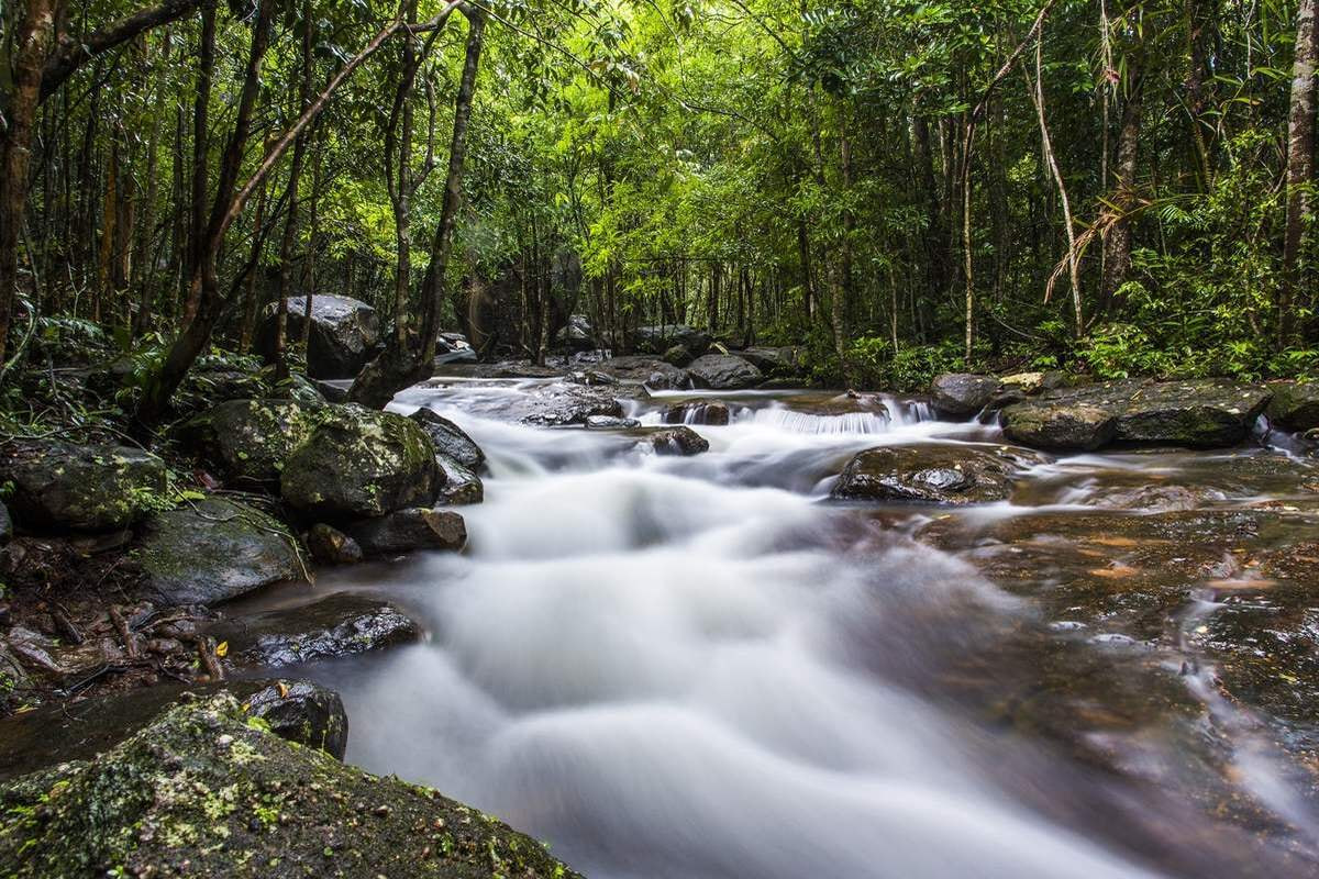 Du khách có thể trekking tại vườn quốc gia Phú Quốc