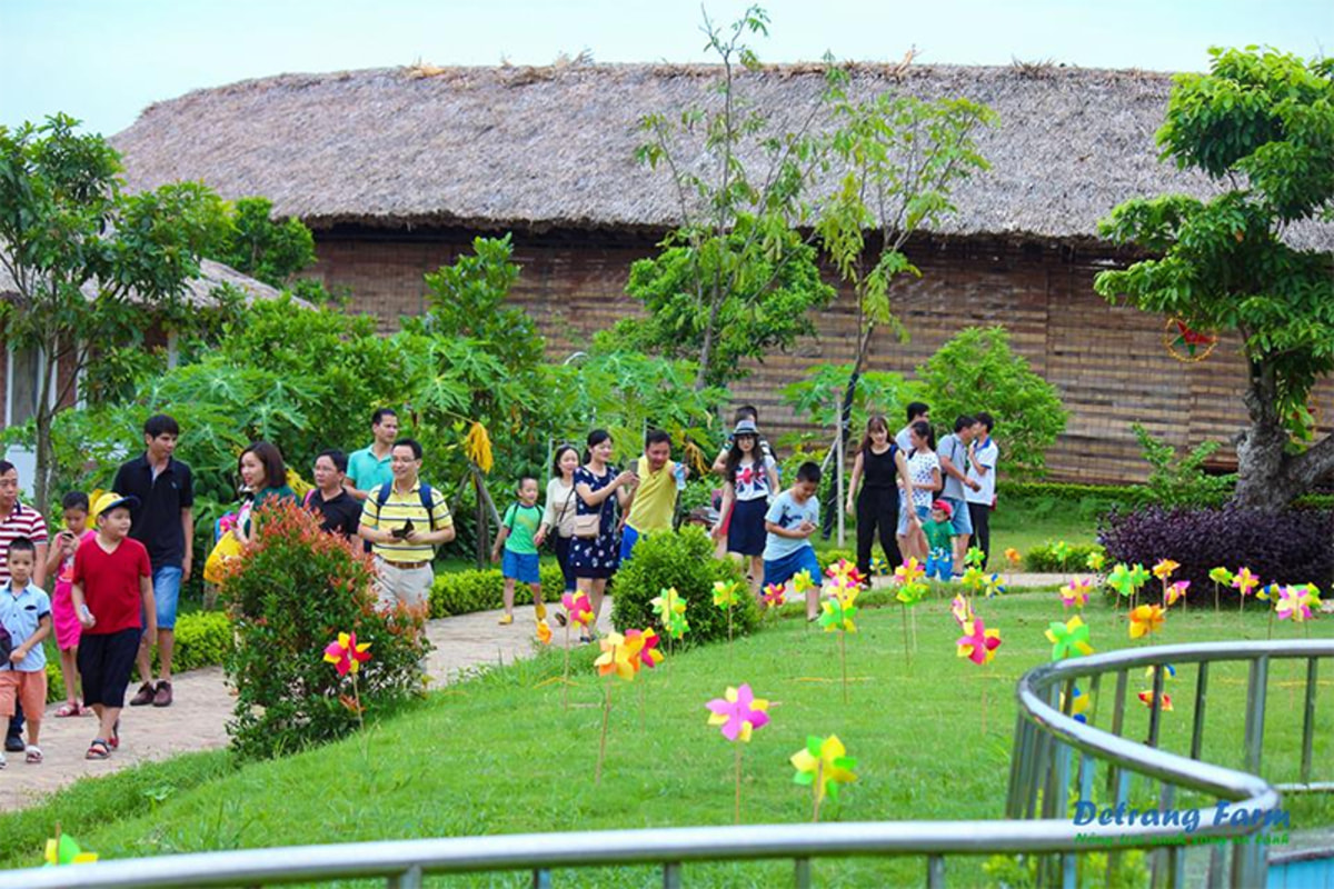 Detrang Farm – Nông trại giáo dục đầu tiên cho trẻ