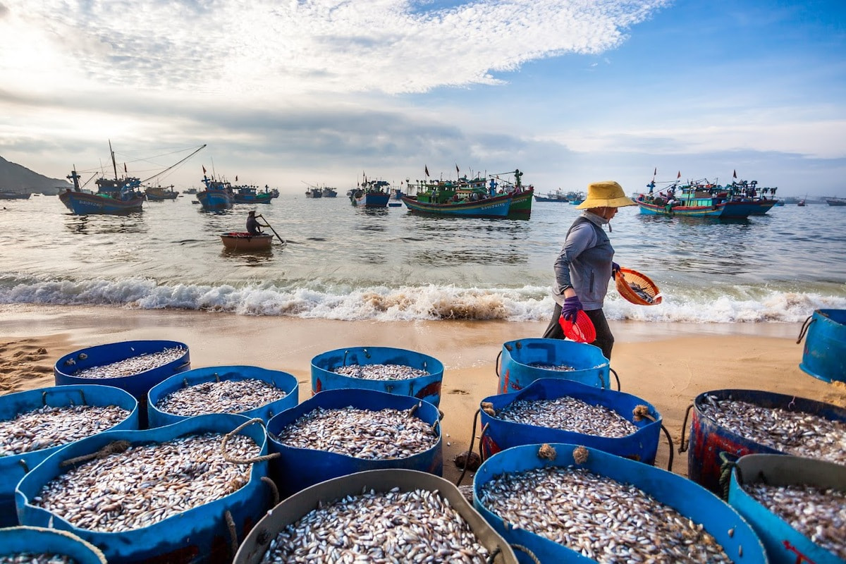 Trải nghiệm cuộc sống ngư dân tại làng chài Nhơn Hải