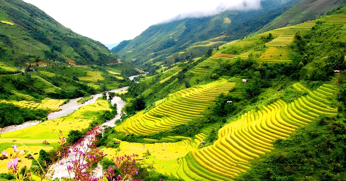 TOUR DU LỊCH HÀ NỘI – LÀO CAI- SAPA - FANSIPAN 2 NGÀY 1 ĐÊM