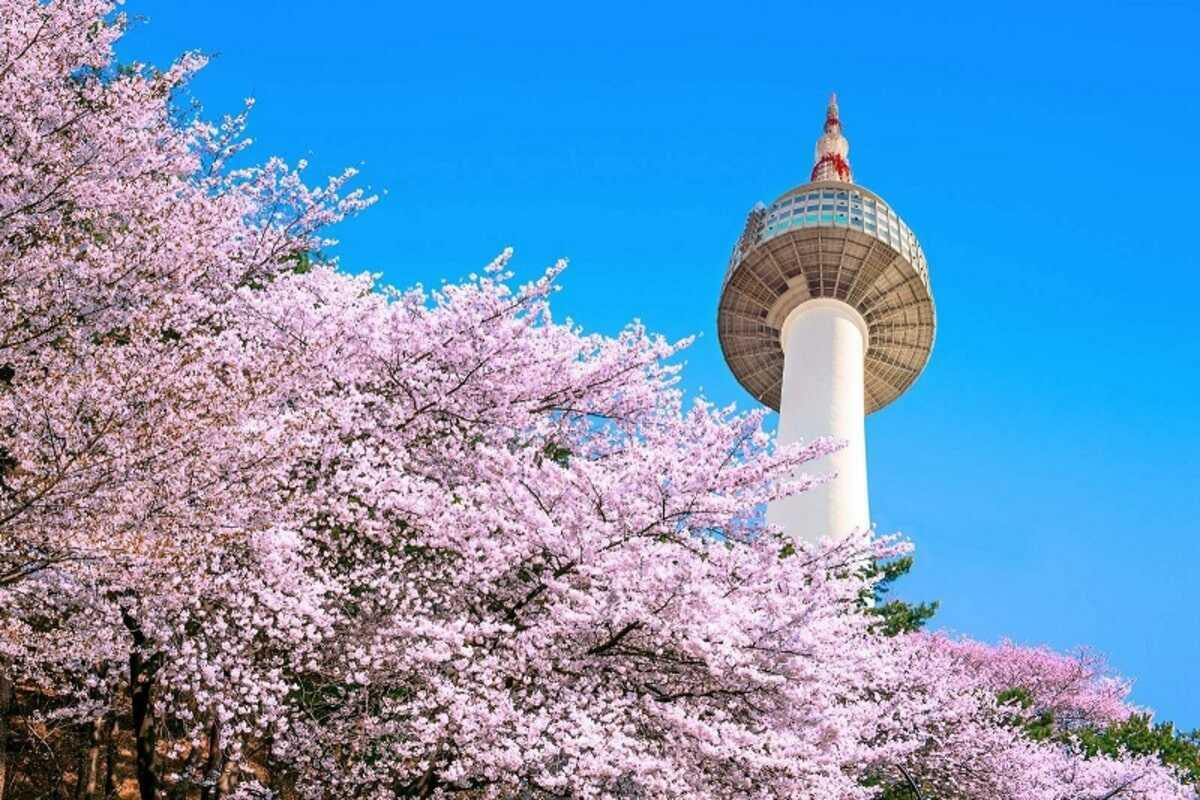 Tháp Namsan là biểu tượng của thủ đô Seoul