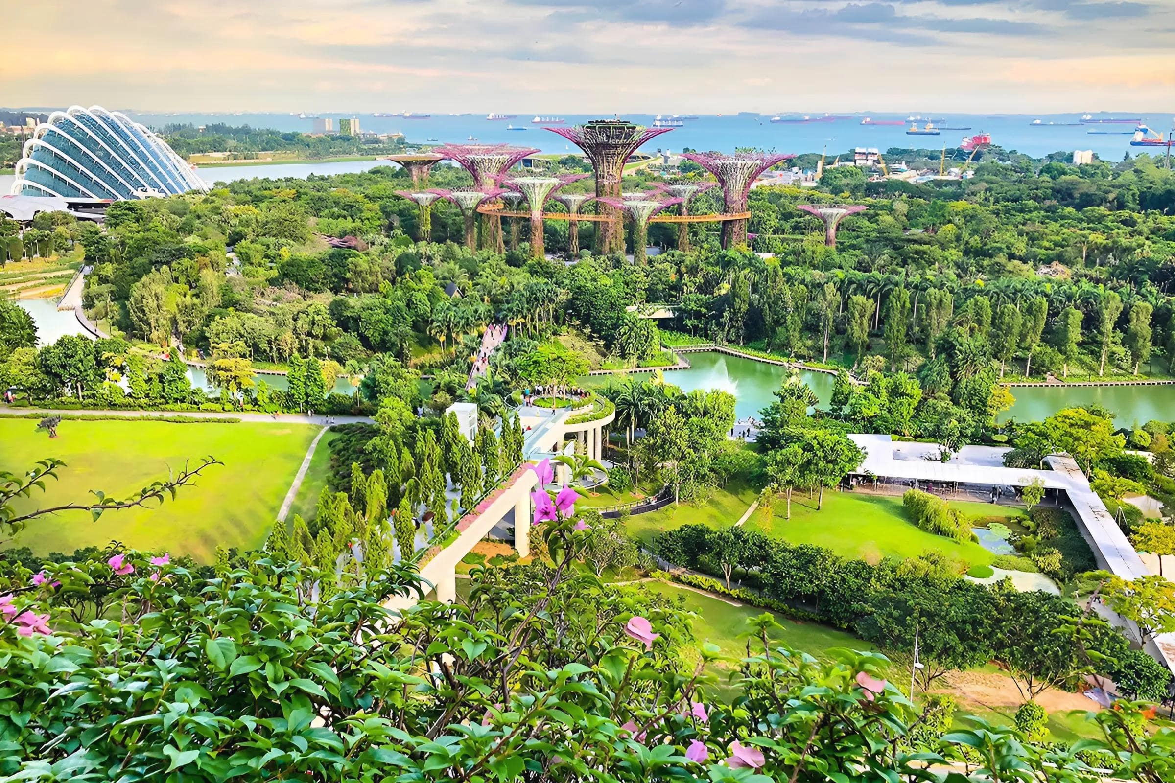 Gardens by the Bay nổi bật với những Supertree khổng lồ