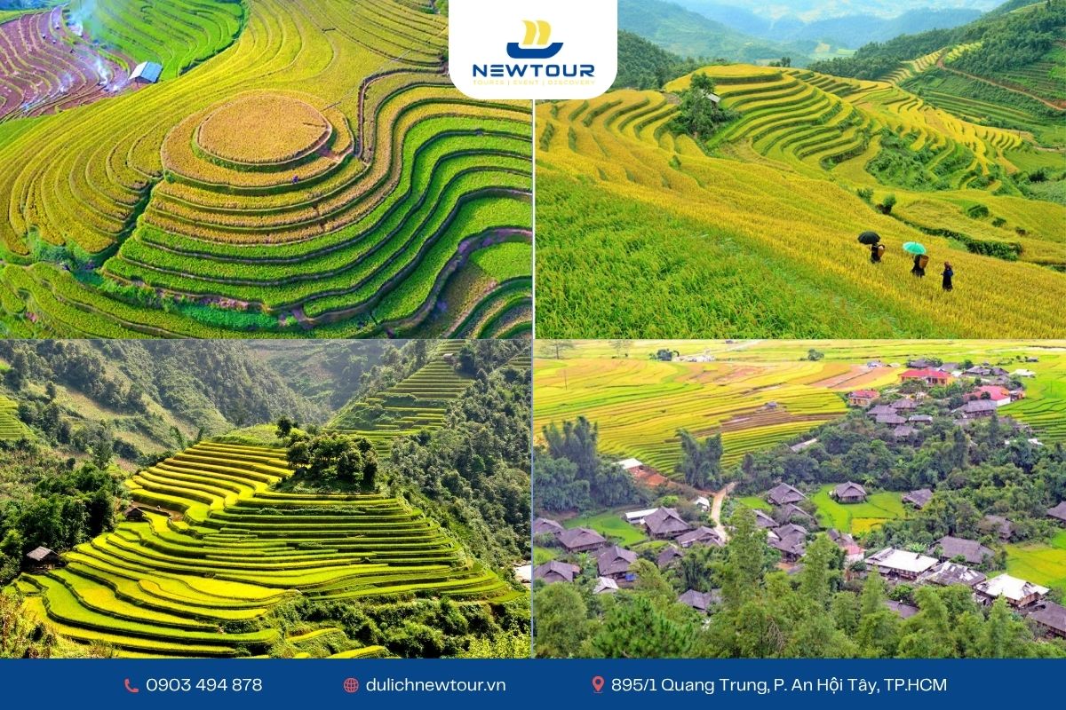 Những địa điểm tham quan đẹp tại Mù Cang Chải tháng 9