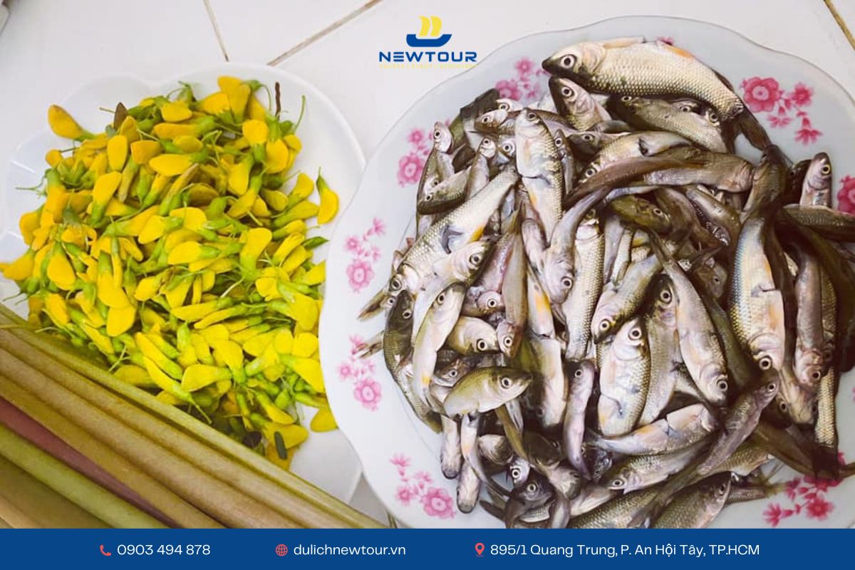 Thưởng thức mùa cá linh non