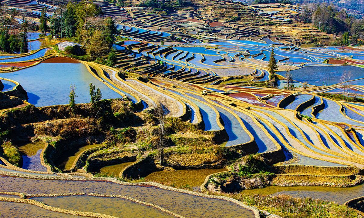 Ruộng bậc thang Nguyên Dương khoác lên chiếc áo đa sắc màu đầy ấn tượng