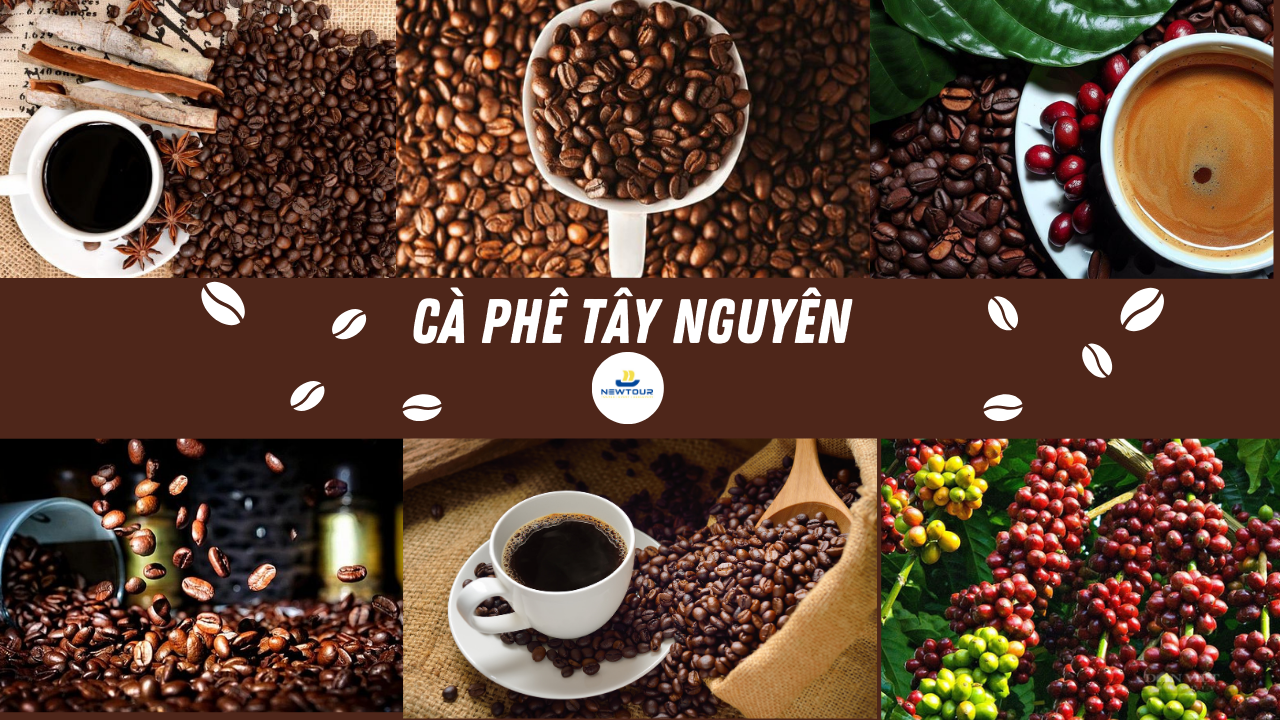 Cà Phê Tây Nguyên: Đặc Sản Không Thể Bỏ Lỡ