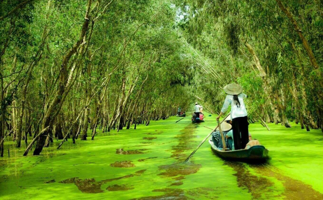 Khám phá tất tần tật địa điểm du lịch Rừng Tràm Trà Sư